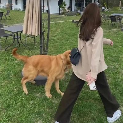 心灵大道